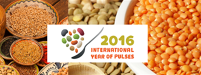 Năm 2016 là năm quốc tế pulses (các loại đậu) 1