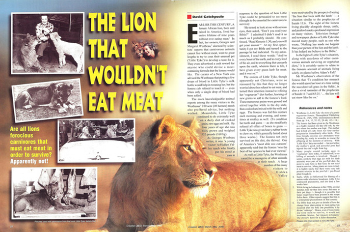 Câu chuyện  về chú sư  tử ăn chay  và sống thân thiện  với muôn loài