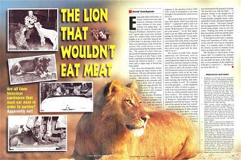 Câu chuyện về chú sư tử ăn chay và sống thân thiện với muôn loài 1